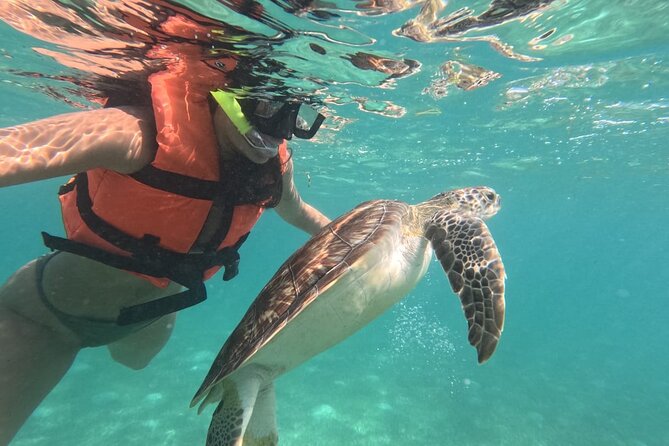 Private Snorkeling with Sea Turtles in Akumal Beach - Why a private guide matters in a busy bay