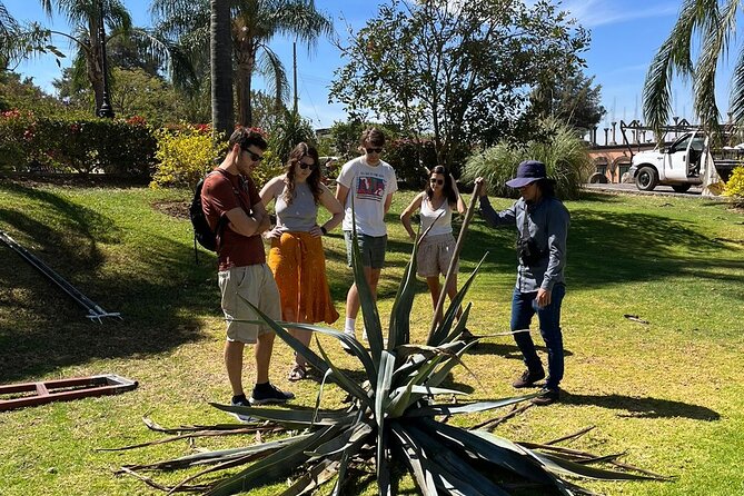 Private Tequila Tour with Local Expert - Casa Marengo and its family-made tequila