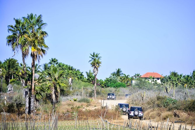 Private Tour Baja Jeep 4x4 Adventure at Los Cabos - Santiago and a quieter Baja setting