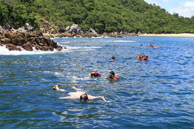 Private Tour Seven Bays, Huatulco HT - Wildlife surprises on the Pacific