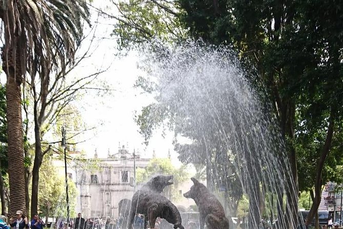 Private Tour: Xochimilco, Coyoacan and Frida Kahlo Museum - Who should book this Mexico City day tour?