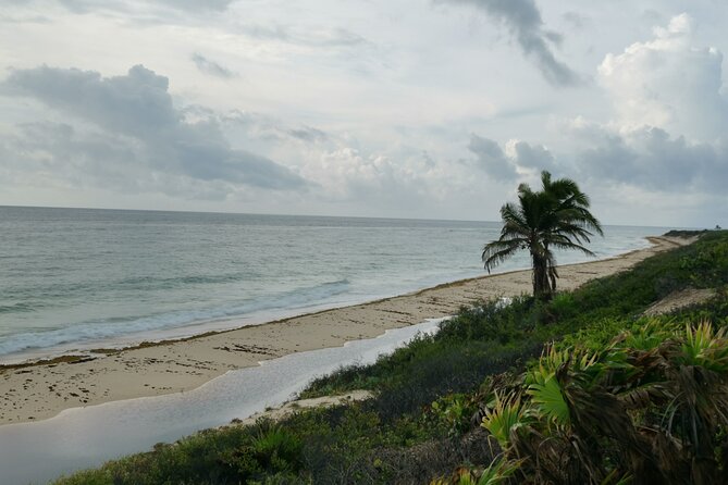 Private Transfer-Cancun Airport-Playa del Carmen One Way - The small problems worth keeping in mind