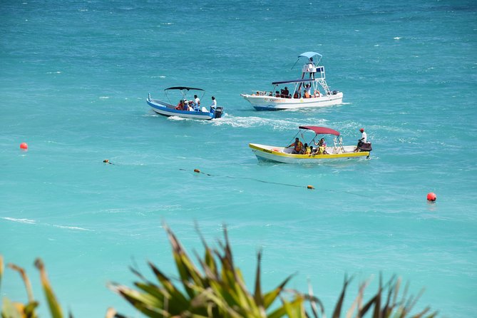 Private Tulum Ruins, Reef Snorkel & Cenote Adventure - Tacos, water, and the value of the private price