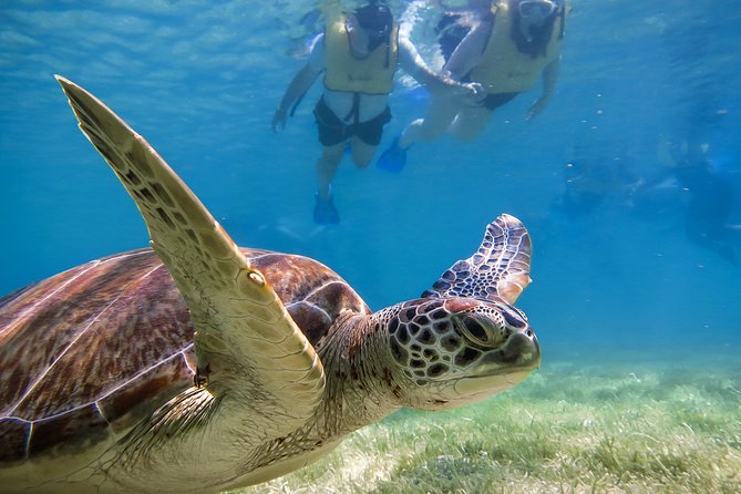 Private Tulum Ruins, Turtles in Akumal and Cenote Adventure - Three Riviera Maya highlights in one private day