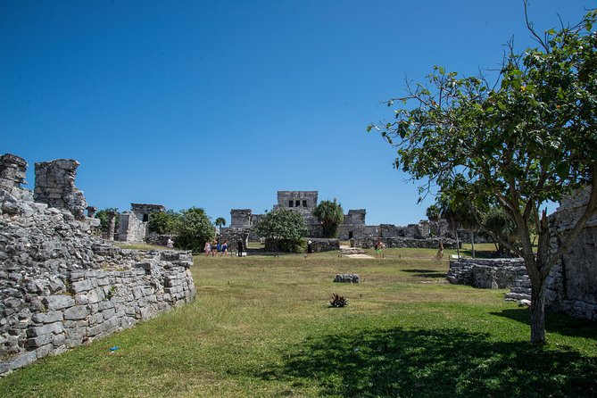 Private Tulum Ruins, Turtles in Akumal and Cenote Adventure - The guides can shape the whole day