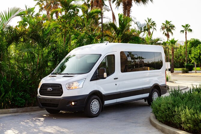Private VAN Round-Trip from Airport to Hotel in San José del Cabo - Family details and optional stops