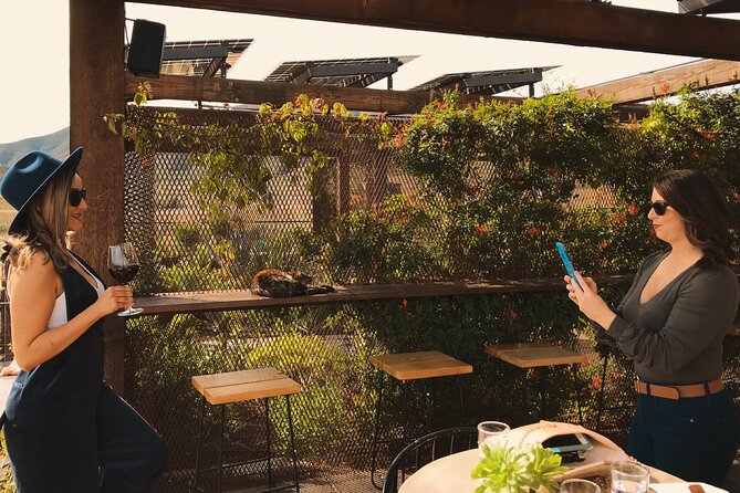 Private Wine Tour at Valle de Guadalupe (A wine tasting included). - Why a private wine day works well in Baja California