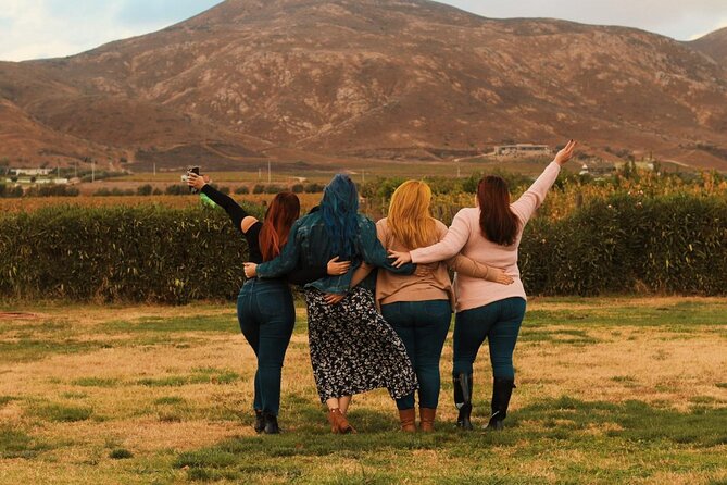 Private Wine Tour at Valle de Guadalupe (A wine tasting included). - The guides make the day more than a transfer