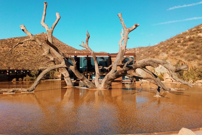 Private Wine Tour at Valle de Guadalupe (A wine tasting included). - Starting with a boutique tasting at Tres Valles