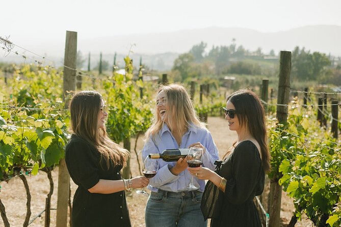 Private Wine Tour by Ansell Tours - Why a private Valle de Guadalupe day works well