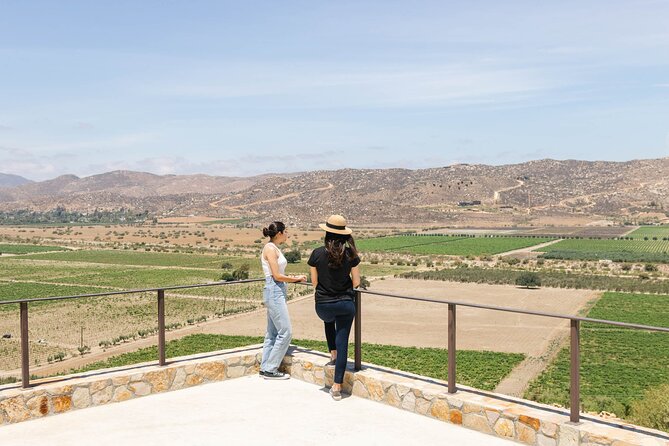 Private Wine Tour by Ansell Tours - Finca La Carrodilla: gardens, animals, and an organic setting