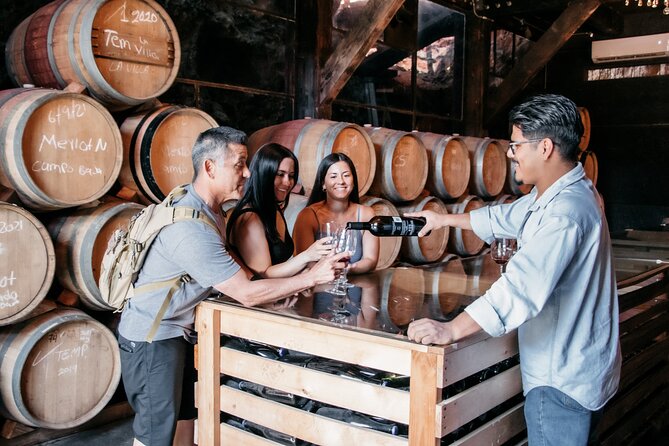 Private Wine Tour by Ansell Tours - Villa Montefiori: Italian influence in Baja