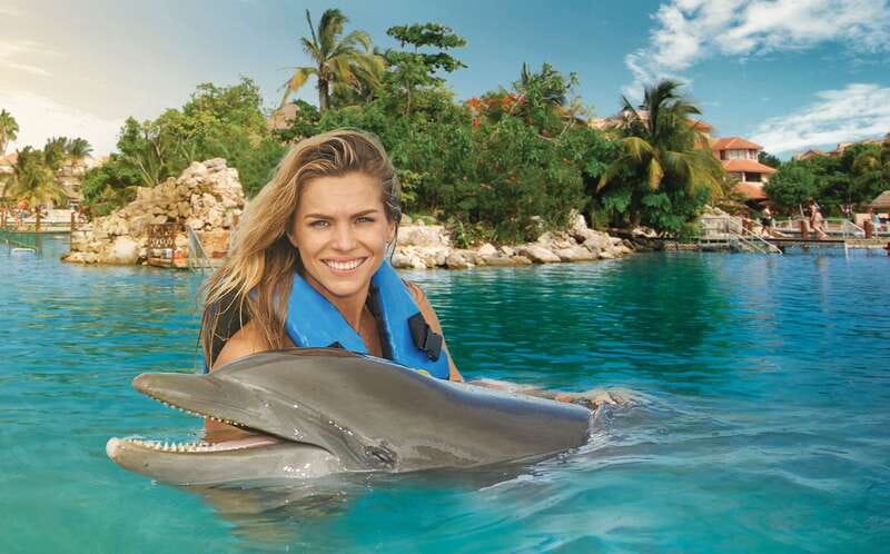 Puerto Aventuras: Dolphin Swim, Sea Lions, Manatees, & Lunch - The 15-minute briefing sets the rules