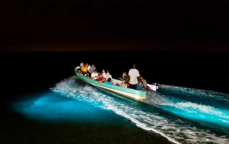 Puerto Escondido: Bioluminescence Night Spectacle - Swimming in the glowing water
