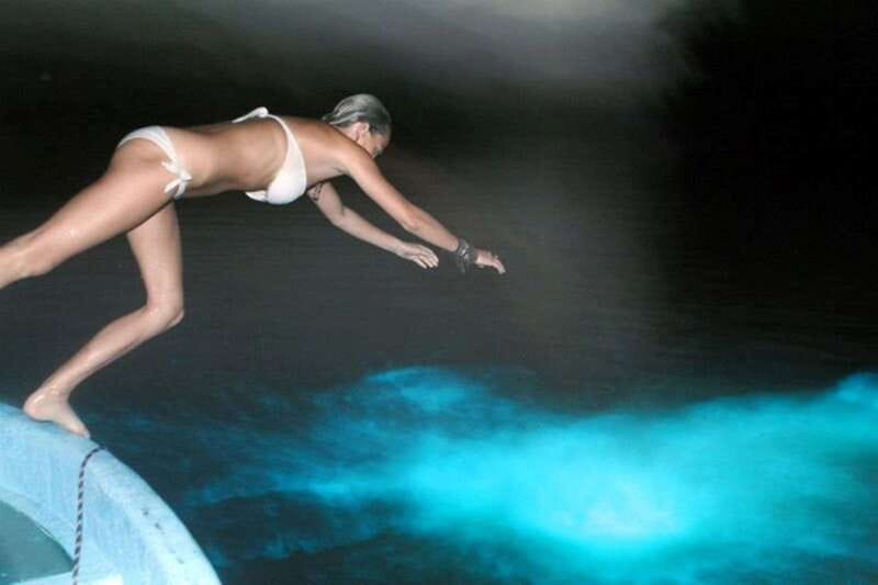 Puerto Escondido: Bioluminescence Night Spectacle - What the glow looks like in real life