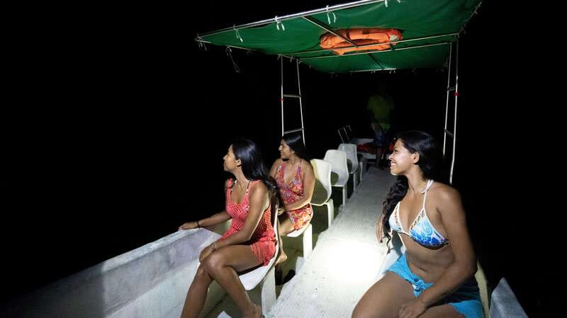 Puerto Escondido: Bioluminescence Night Spectacle - Starting after sunset in Puerto Escondido
