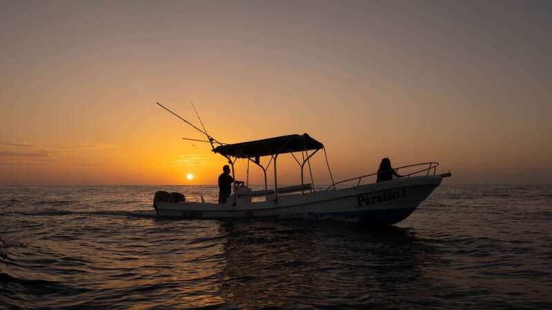 Puerto Escondido: Boat Tour among Dolphins and Turtles - Starting before the heat at 7:00 AM