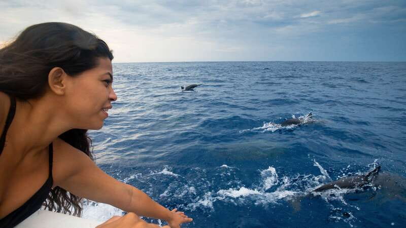 Puerto Escondido: Boat Tour among Dolphins and Turtles - Searching for dolphins, turtles, and whales