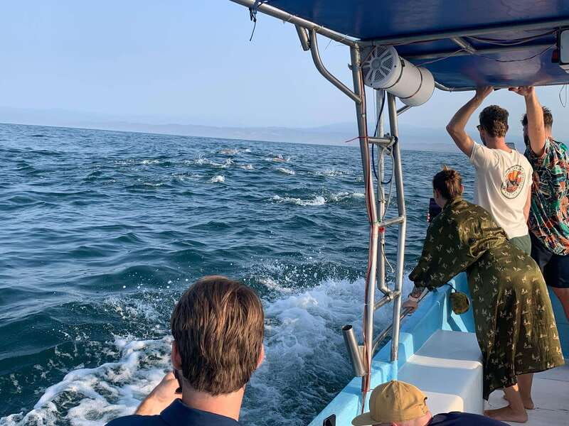 Puerto Escondido: Boat Tour to see Dolphins and Marine Life - Why the dolphin search is the main event