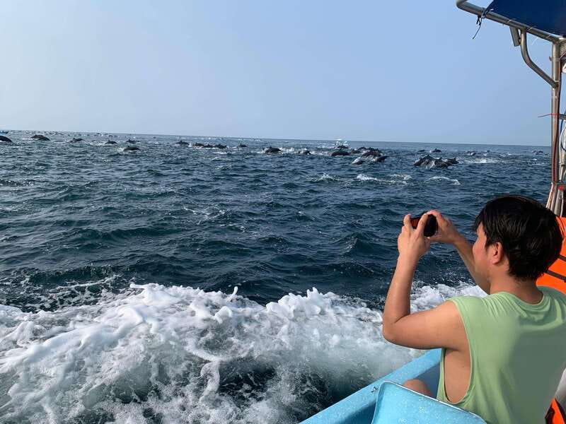 Puerto Escondido: Boat Tour to see Dolphins and Marine Life - Winter whale watching from November through March