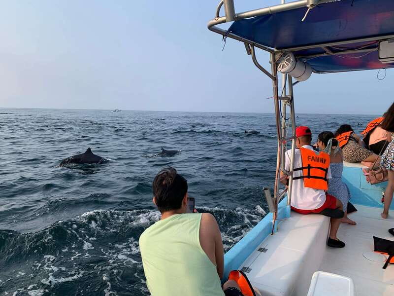 Puerto Escondido: Boat Tour to see Dolphins and Marine Life - What the 2.5 to 3-hour route feels like