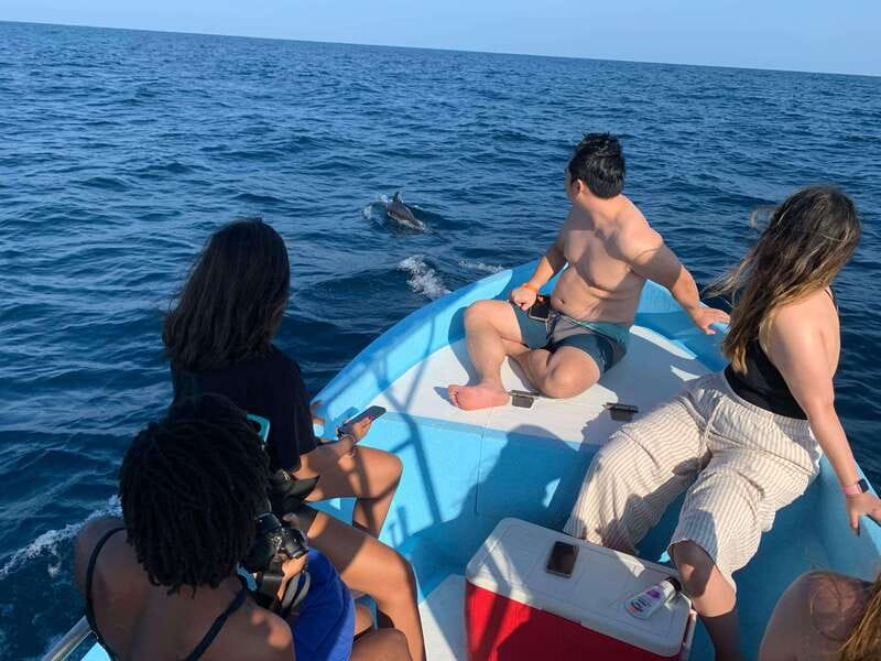 Puerto Escondido: Boat Tour to see Dolphins and Marine Life - Swimming from the boat, with a few practical limits