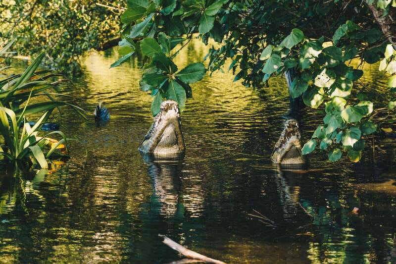 Puerto Escondido: Oaxaca Coast Wildlife Ecotour - Estacahuite is where you can slow down