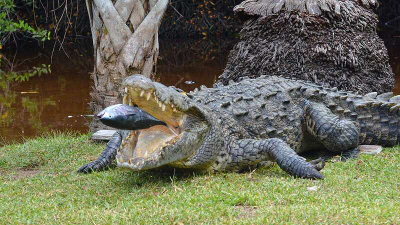 Puerto Escondido: Oaxaca Coast Wildlife Ecotour - What the $50 price really covers