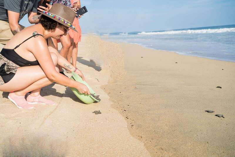Puerto Escondido: Turtle Release Experience - A small turtle, a big first step