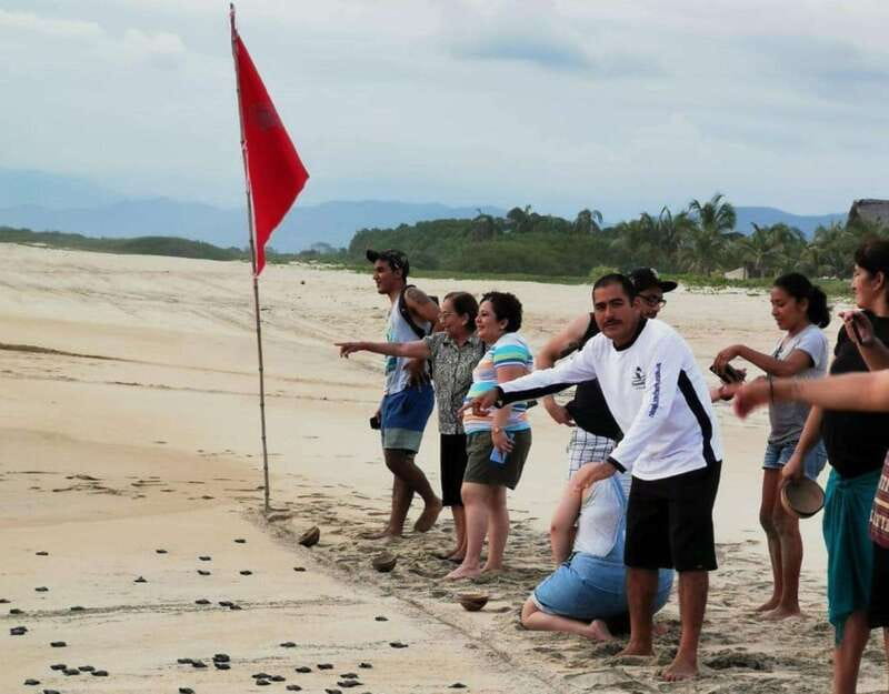 Puerto Escondido: Turtle Release Experience - Who will enjoy this most?