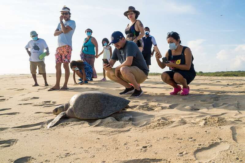 Puerto Escondido: Turtle Release Experience - The ride from Puerto Escondido