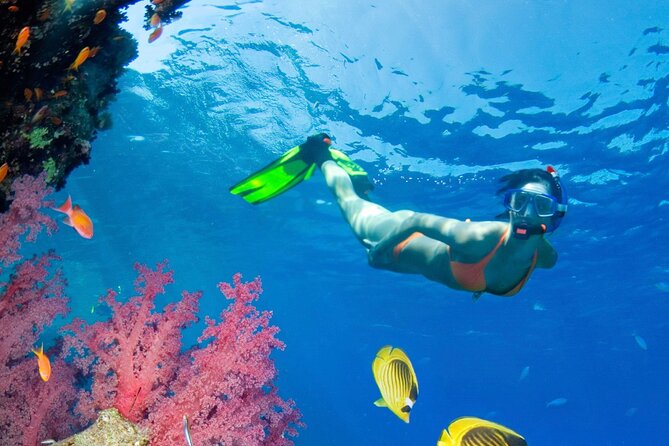 Puerto Morelos Catamaran Reef Sail and Snorkel - Boarding a catamaran limited to 18 people