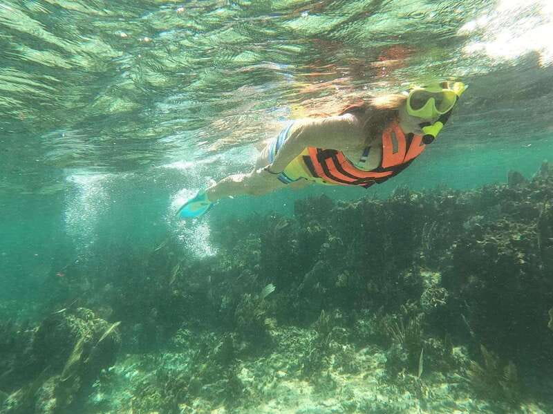 Puerto Morelos: Guided Snorkeling Tour with Gear & Fees - The guides are a major part of the value