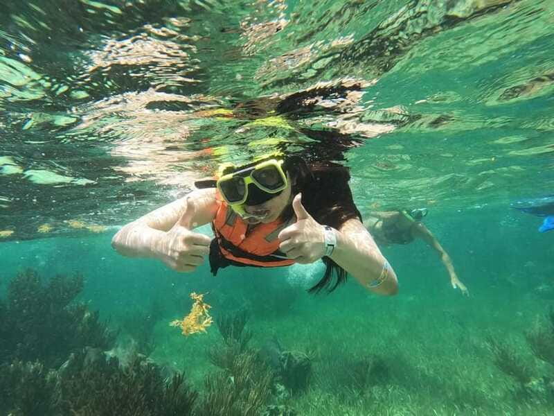 Puerto Morelos: Guided Snorkeling Tour with Gear & Fees - How the timing feels on the water