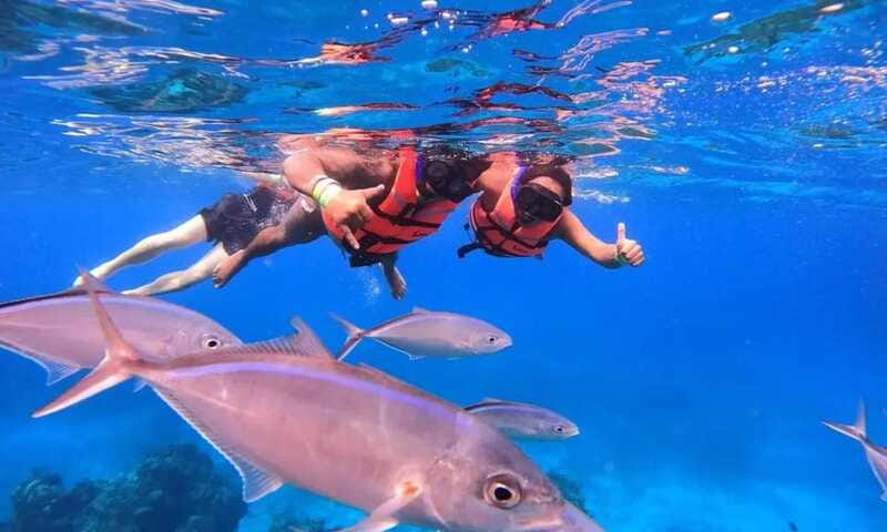 Puerto Morelos: Guided Snorkeling Tour with Gear & Fees - Should you book the Puerto Morelos reef tour?