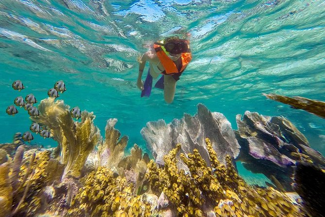 Puerto Morelos Reef Snorkeling Tour with Lunch & Hotel Pickup - Should you book it?