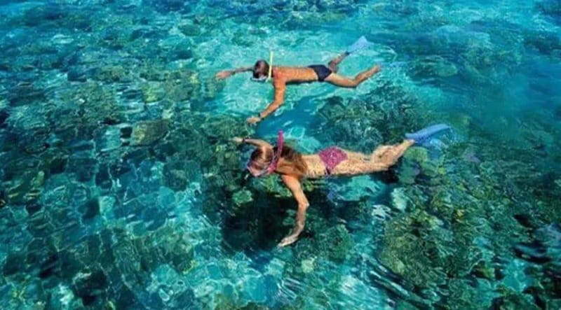 Puerto Morelos: Snorkeling at The National Reef Park - A short boat ride to the Puerto Morelos reef