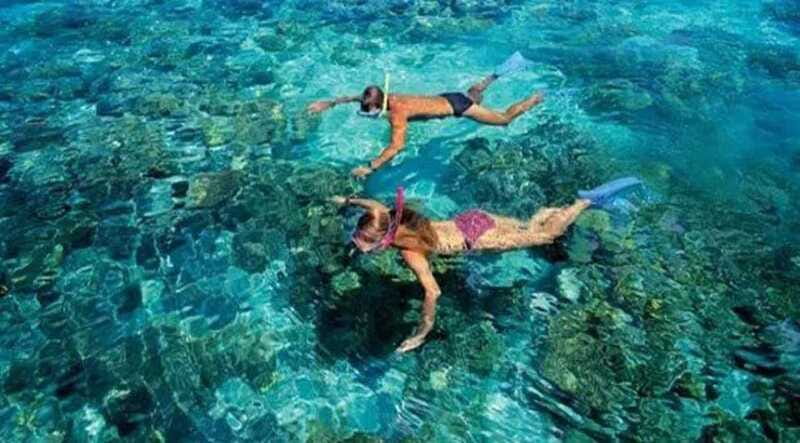 Puerto Morelos: Snorkeling at The National Reef Park - The small-group advantage