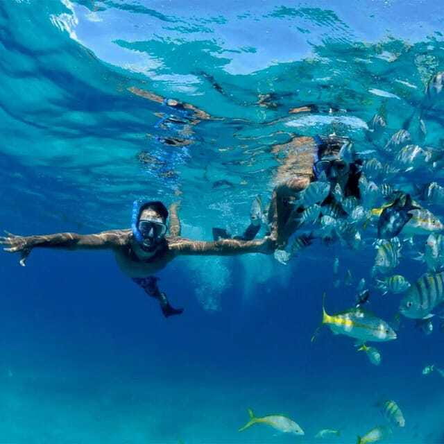 Puerto Morelos: Snorkeling at The National Reef Park - What the $37 price really includes