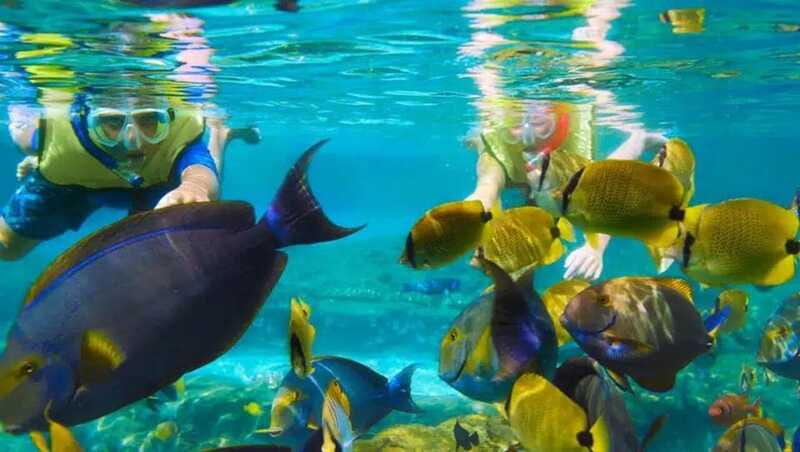 Puerto Morelos: Snorkeling at The National Reef Park - The sunscreen rule and reef etiquette