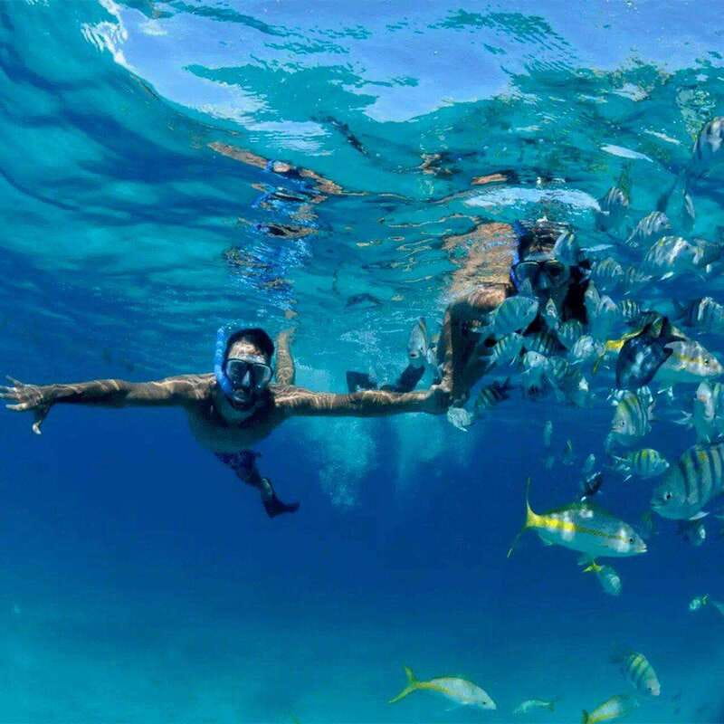 Puerto Morelos: Snorkeling at The National Reef Park - Why this reef matters