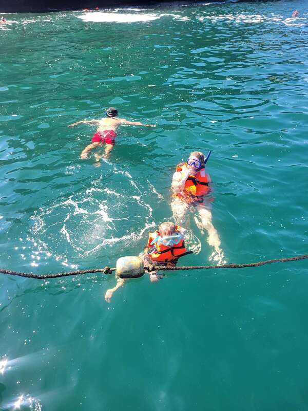 Puerto Vallarta: 3-Hour Whale Watching and Snorkeling - Searching Puerto Vallarta Bay for humpbacks