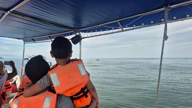 Puerto Vallarta: 3-Hour Whale Watching and Snorkeling - Beach stops can be pleasant, or simply long