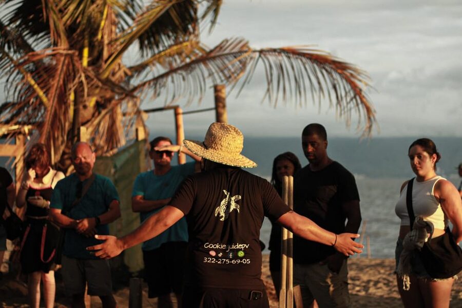 Puerto Vallarta: Baby Turtle Release in Conservation Area - Key points to know before booking