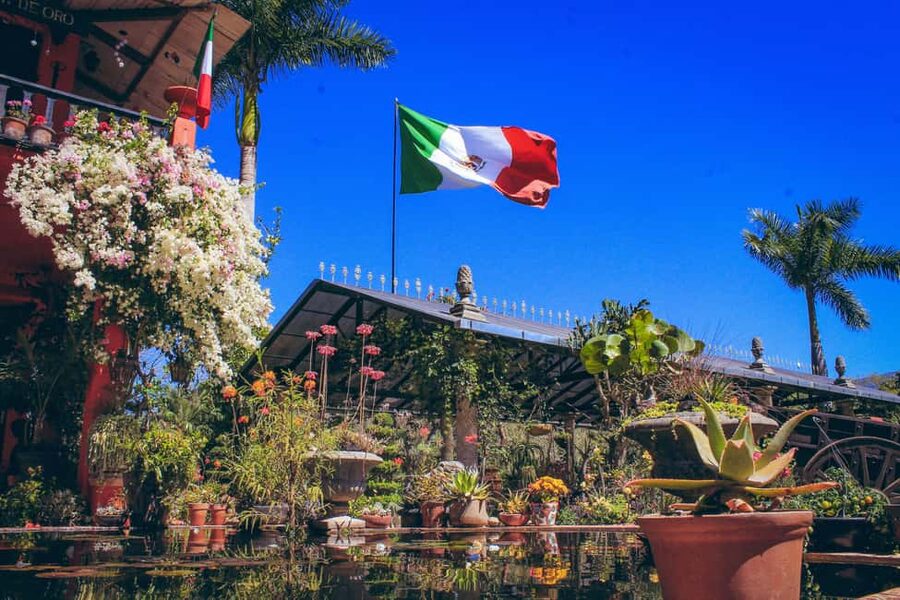 Puerto Vallarta: Botanical Gardens, Distillery & Coffee Tour - Transport, heat, and practical comfort