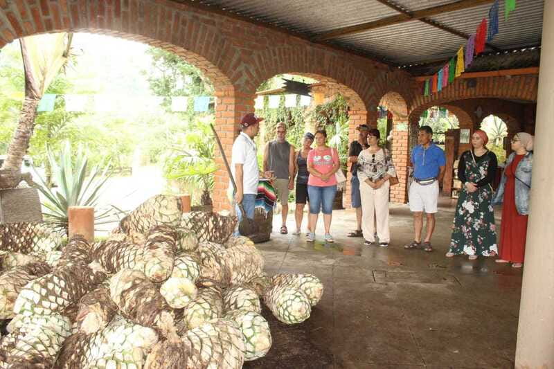 Puerto Vallarta: City Tour, Tequila and Coffee Factory Tour - From Puerto Vallarta streets to mountain roads