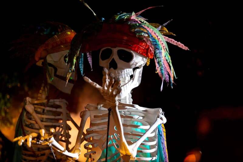 Puerto Vallarta Rhythms of the night, Show & Buffet dinner - Who should book Rhythms of the Night?