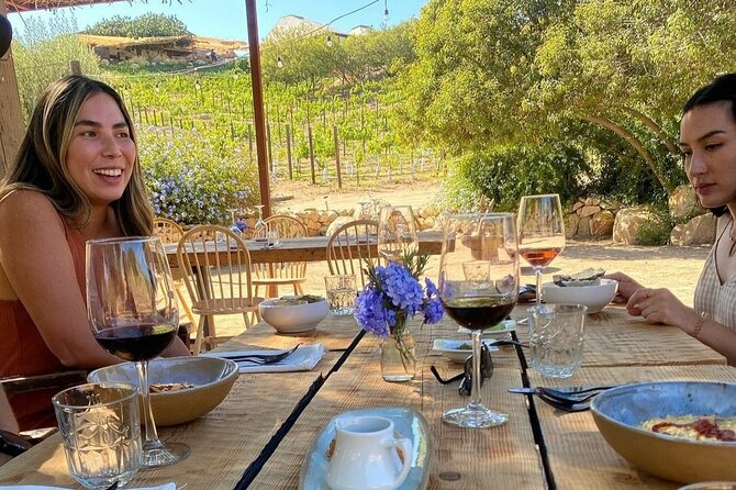 Quiero mas vino, valle de Guadalupe Tours - Starting at Bodegas Magoni