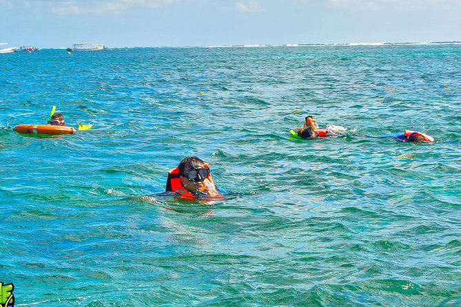 Reef Snorkeling in National Park from Cancun with Beachside Lunch - How the $44 price holds up