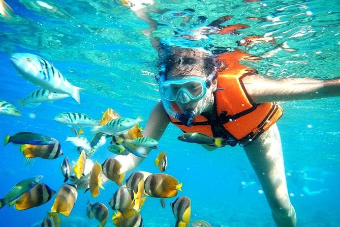 Reef Snorkeling in National Park from Cancun with Beachside Lunch - The hotel pickup and the ride south